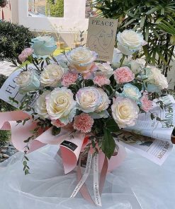 Aurora Roses