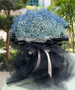L Gradient Blue Baby’s Breath