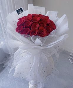 Fairy Red 20 Roses