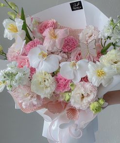 White Phalaenopsis Mixed