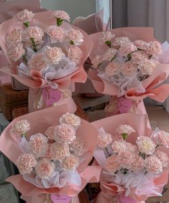 Carnation Pink